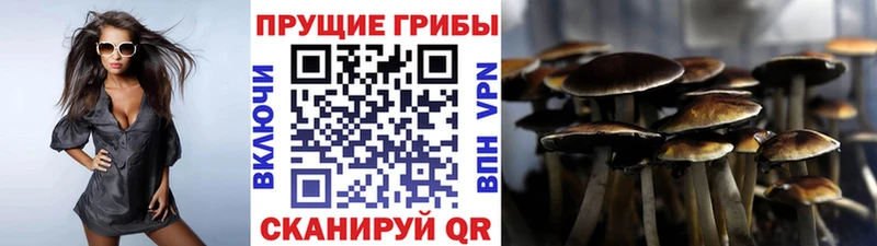 Псилоцибиновые грибы мухоморы  площадка состав  Алзамай  omg как зайти 